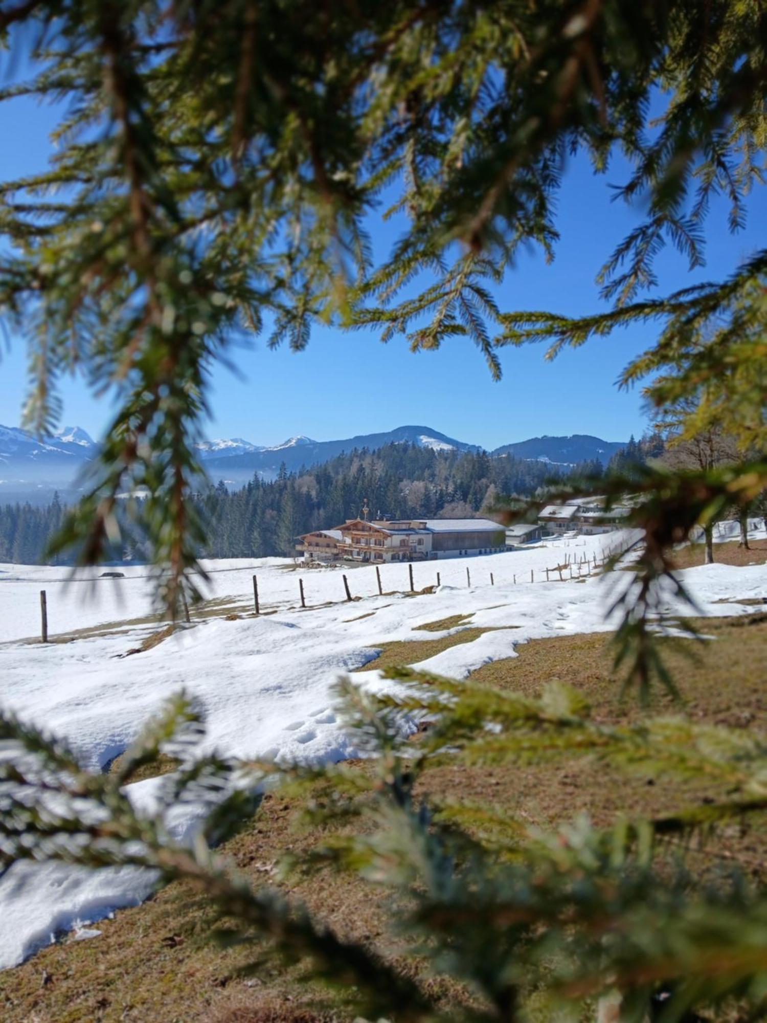 Ferienwohnung Maurerhof Sankt Johann in Tirol Zewnętrze zdjęcie