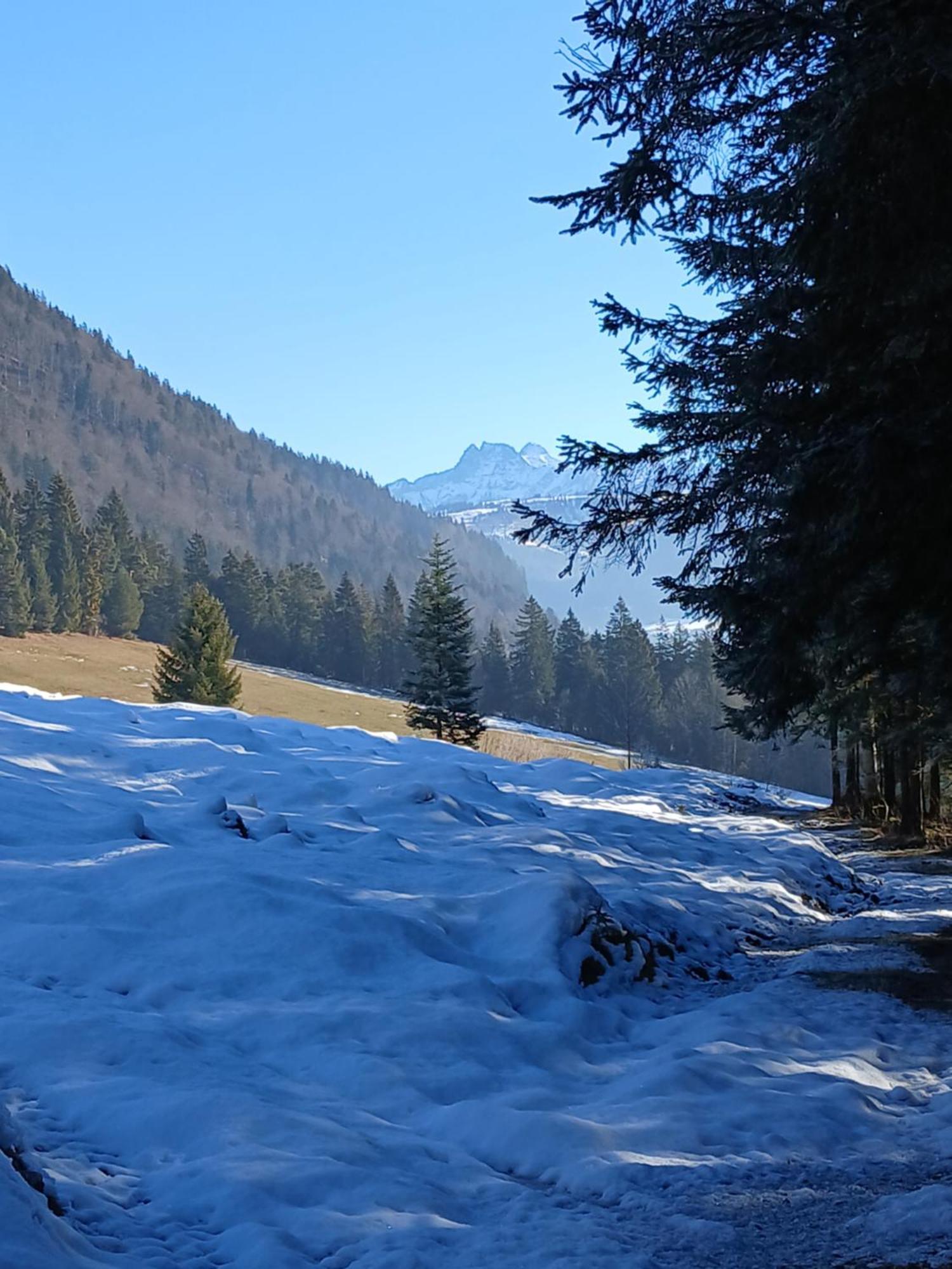 Ferienwohnung Maurerhof Sankt Johann in Tirol Zewnętrze zdjęcie